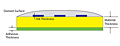 Domed Labels & Decals